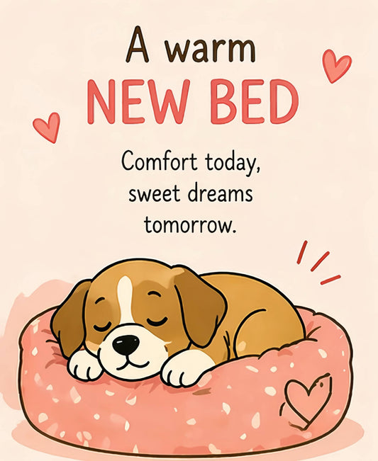 New Bed donation card